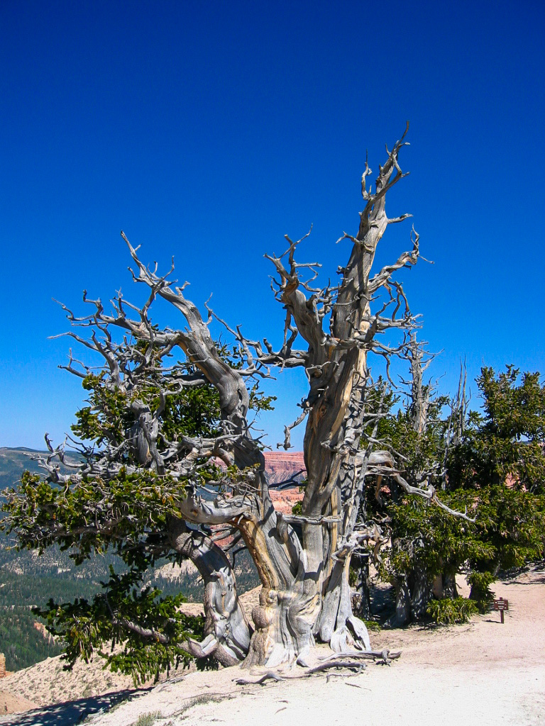 12 USA 2008 fabien et leslie 412